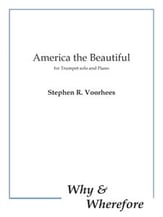 America the Beautiful P.O.D. cover